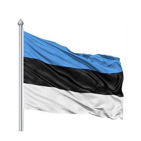 Viilma: Ameerika, Eesti liitlasena, vajab täna meie eestpalveid