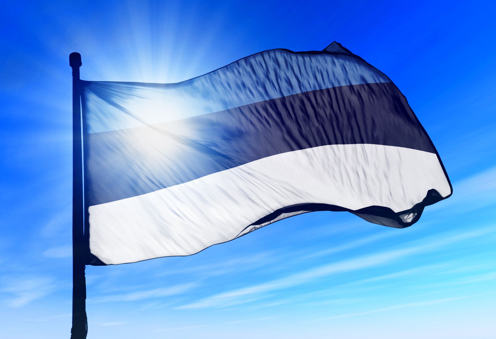 Peapiiskop Urmas Viilma: lipp kõneleb, et Eestimaa elab ja hingab