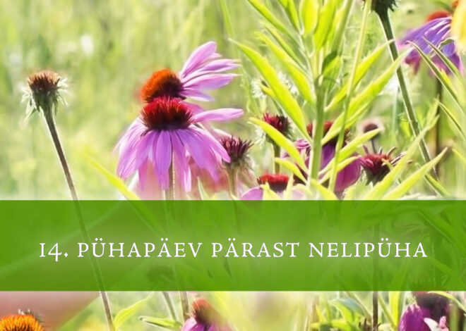 14. pühapäev pärast nelipüha: Meie ligimene