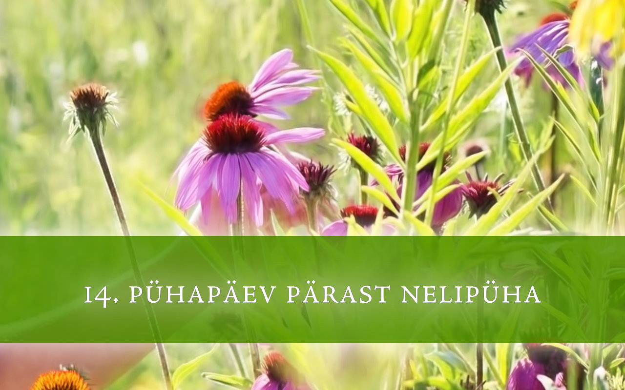 14. pühapäev pärast nelipüha: Meie ligimene