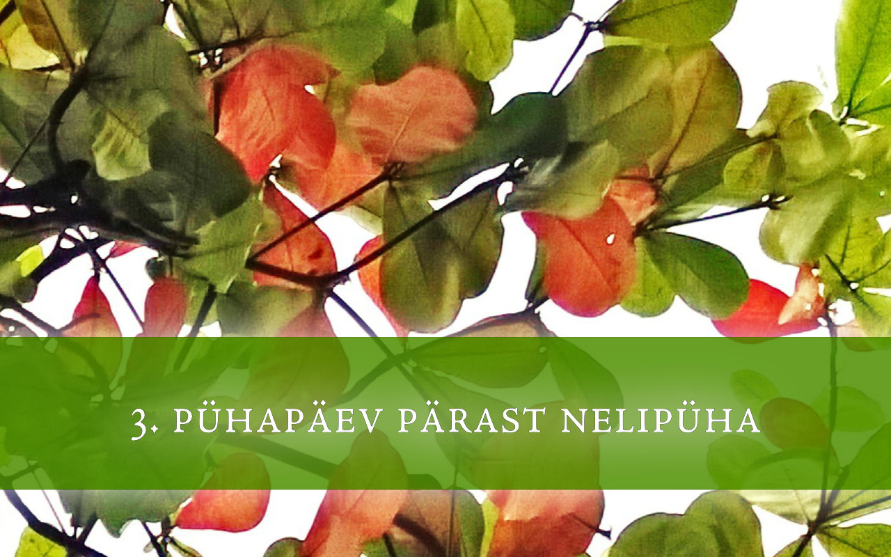 3. pühapäev pärast nelipüha