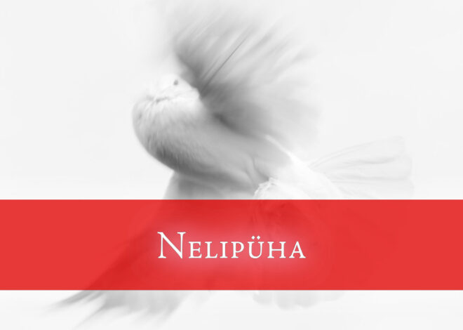 Nelipüha