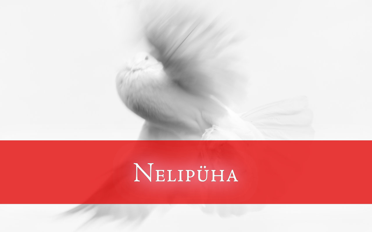 Nelipüha