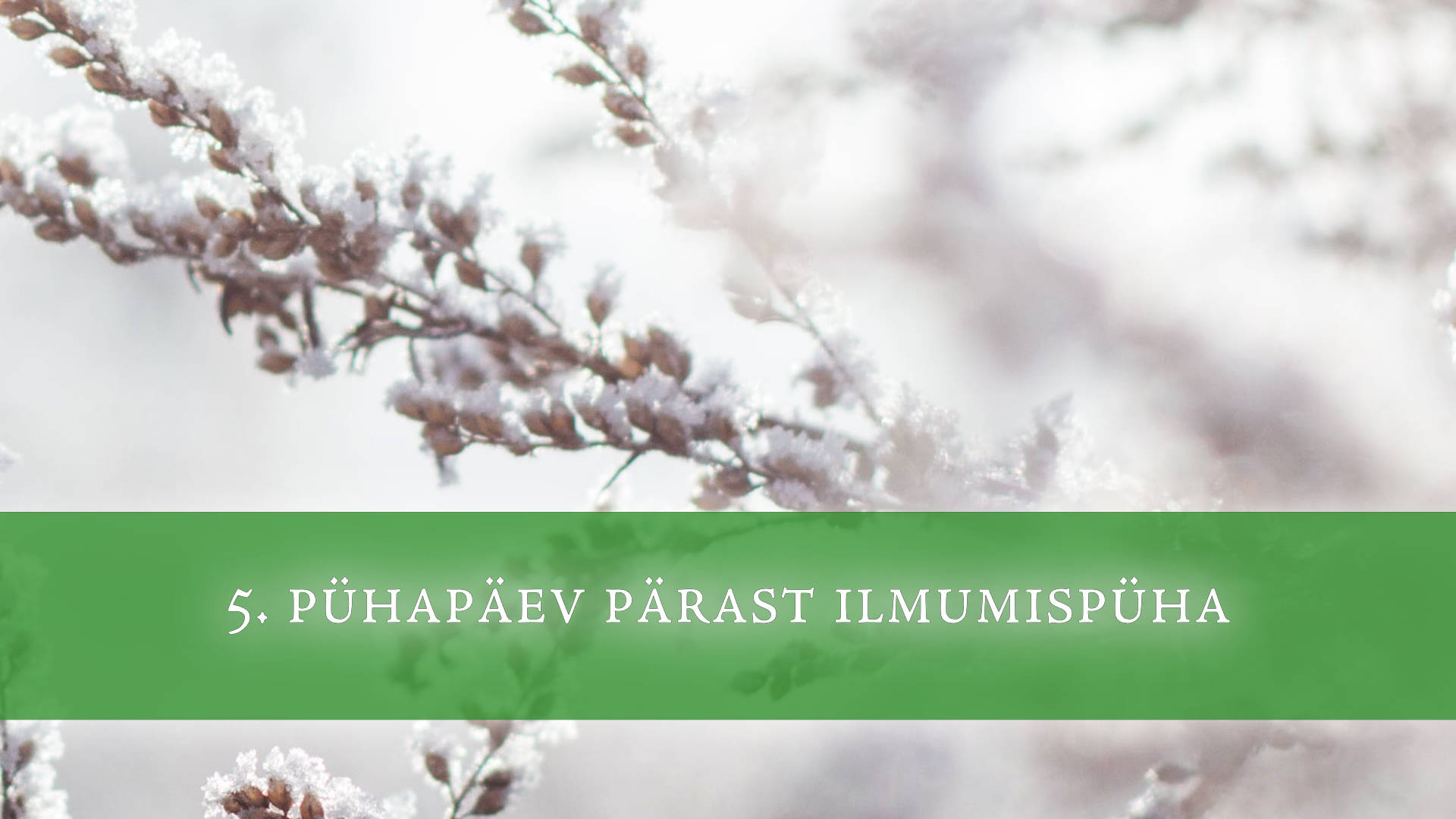 5. pühapäev pärast ilmumispüha