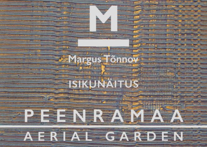 Tallinna Jaani kirikus saab näha Margus Tõnnovi isikunäitust „Peenramaa / Aerial Garden“