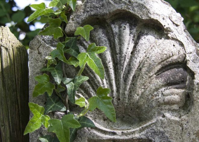 22. novembril toimub Järva-Madisel Eesti Jaakobitee Sõprade Seltsi kadripäeva kohtumine