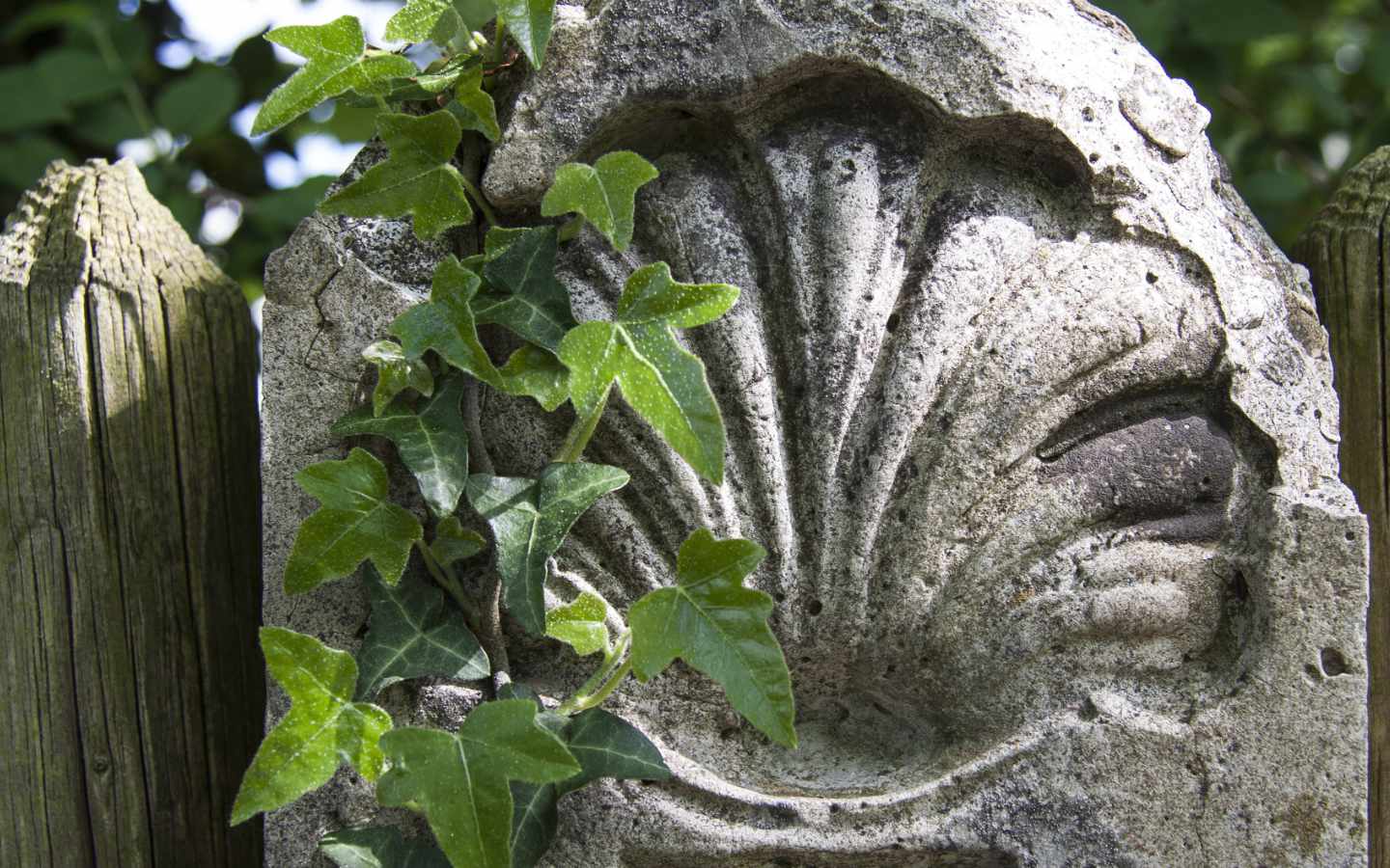 22. novembril toimub Järva-Madisel Eesti Jaakobitee Sõprade Seltsi kadripäeva kohtumine