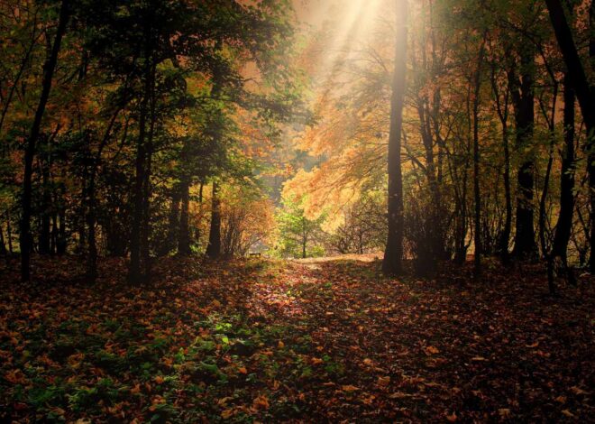 Anne Kull: Loodus, loomulik ja loodud