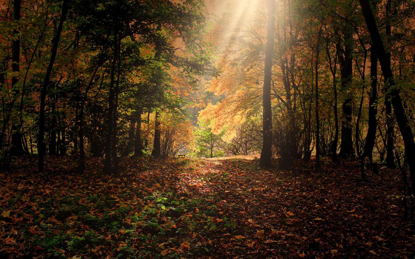 Anne Kull: Loodus, loomulik ja loodud