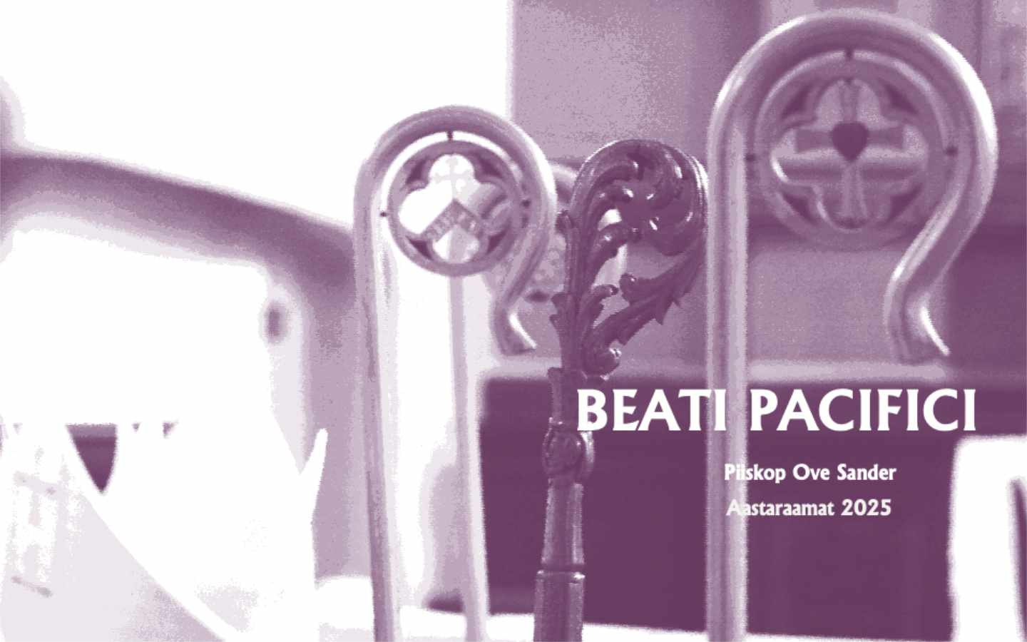 Põhja-Eesti ja diasporaa piiskopi aastaraamat annab ülevaate tegevusrohkest kirikuaastast