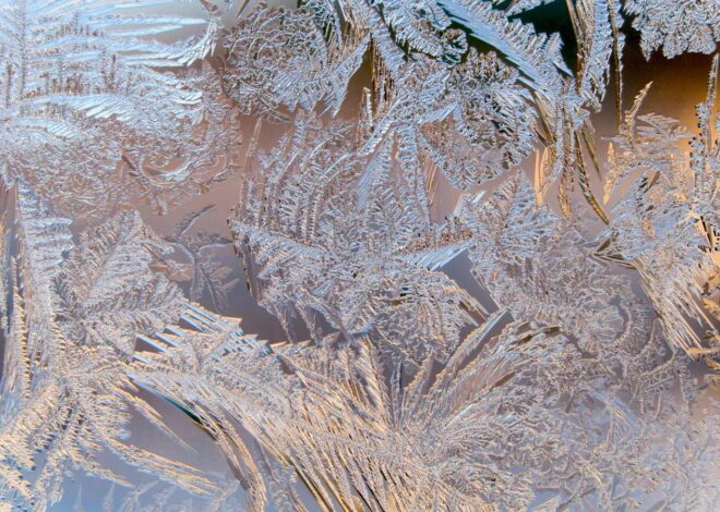 Tiit Salumäe: Jõulurahu kuulutamise lugu Eestis