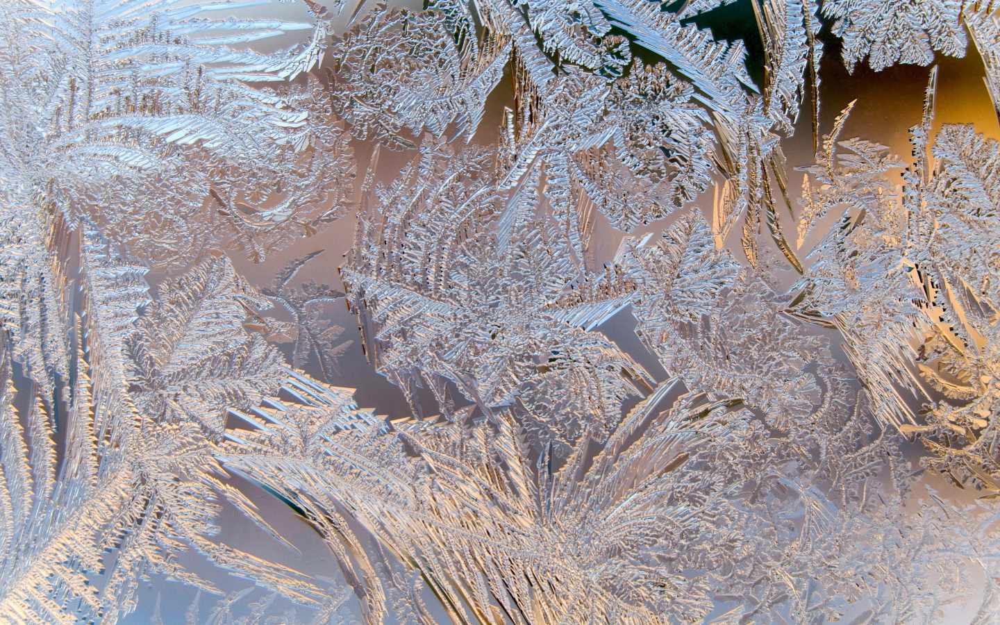 Jõulurahu väljakuulutamise traditsioon Soome Turus on püsinud peaaegu katkemalt Rootsi kuninganna Kristiina valitsemisajast aastatel 1632–1654 ja see oli Rootsi