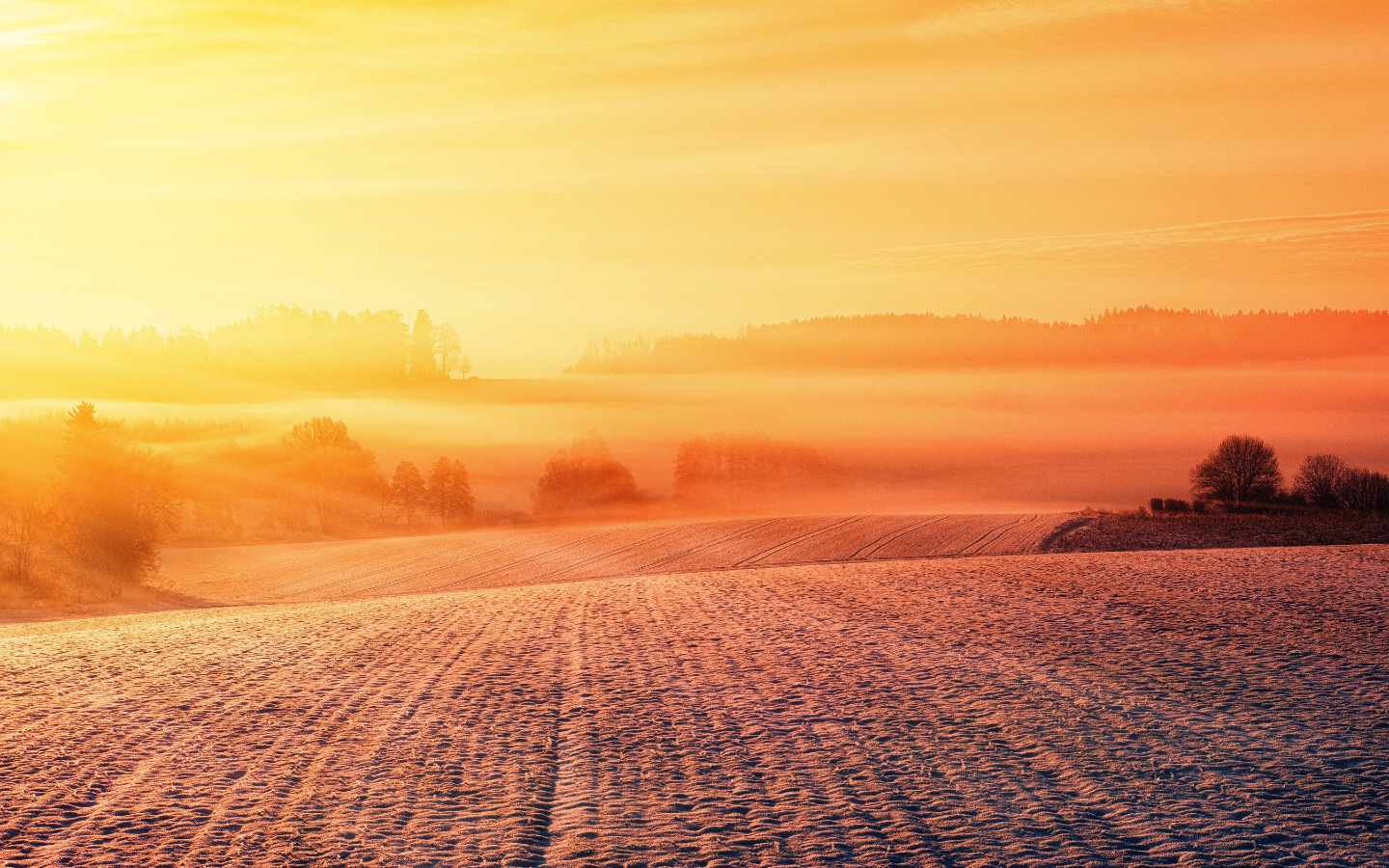 Süvenemist väärt lugemisvara: Eesti Kirikute Nõukogu haridusportaal täienes uute harivate artiklitega