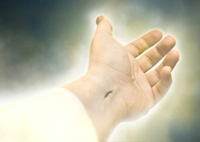 Põhja-Eesti ja diasporaa piiskopi ülestõusmispühade sõnum: igavene elu algab juba siin