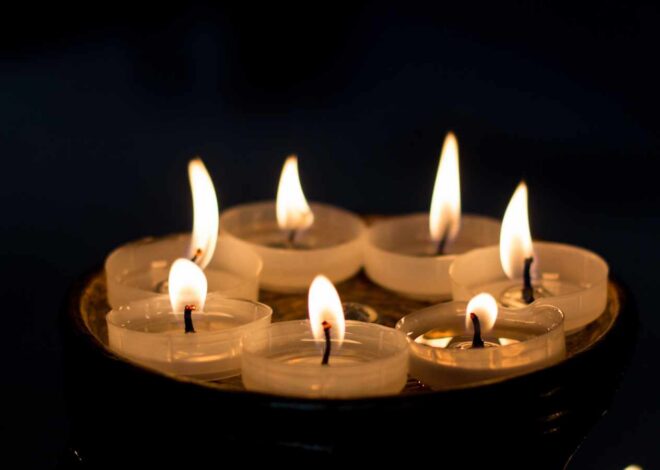 In memoriam: Mihkel Viise