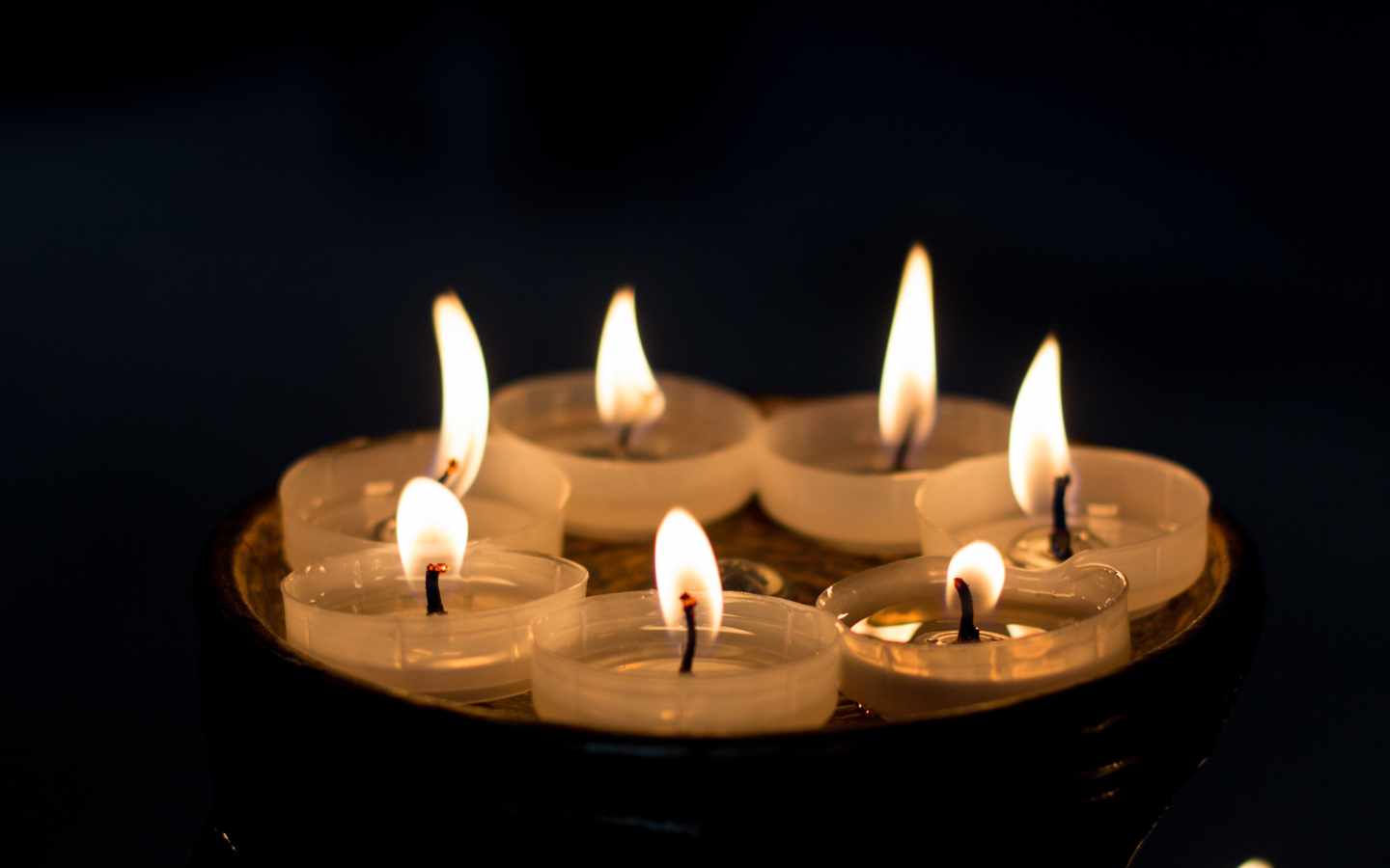 In memoriam: Mihkel Viise